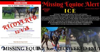 MISSING EQUINE Ice , RECOVERED 12/1/18 Near HOUSTON, TX, 77584
